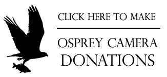 osprey-cam-donations