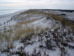 A Tale of Two Beaches: Winter & Summer Beach Profiles